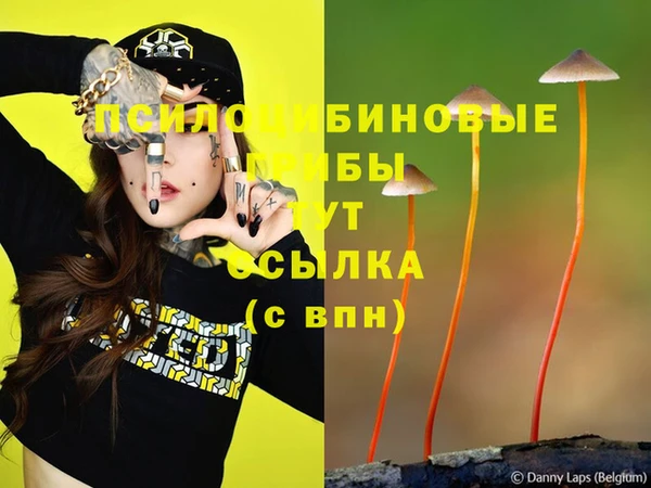 спайс Алексин