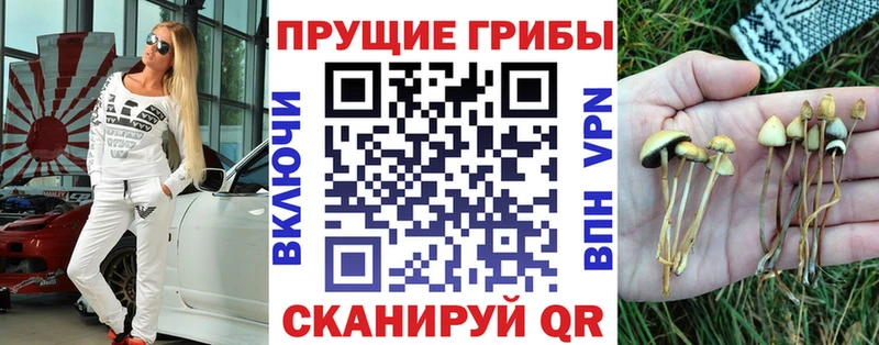 Псилоцибиновые грибы Cubensis  Тюкалинск 
